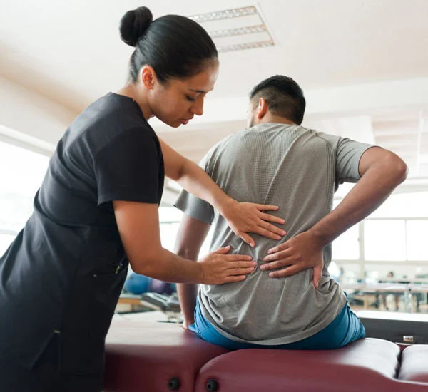 chiropractic adjustment southfield mi